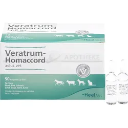 VERATRUM HOMACCORD ad us.vet.Ampullen 50 St