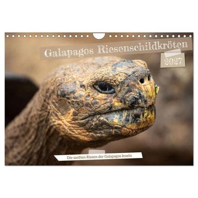 Die Riesenschildkröten der Galapagos Inseln (Wandkalender 2027 DIN A4 quer), CALVENDO Monatskalender