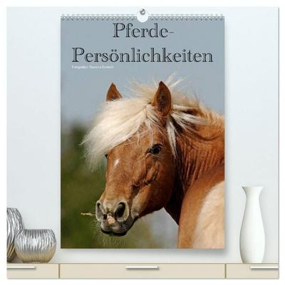Pferde-Persönlichkeiten - ausdrucksstarke Gesichter verschiedener Pferderassen (hochwertiger Premium Wandkalender 2027 DIN A2 hoch), Kunstdruck in