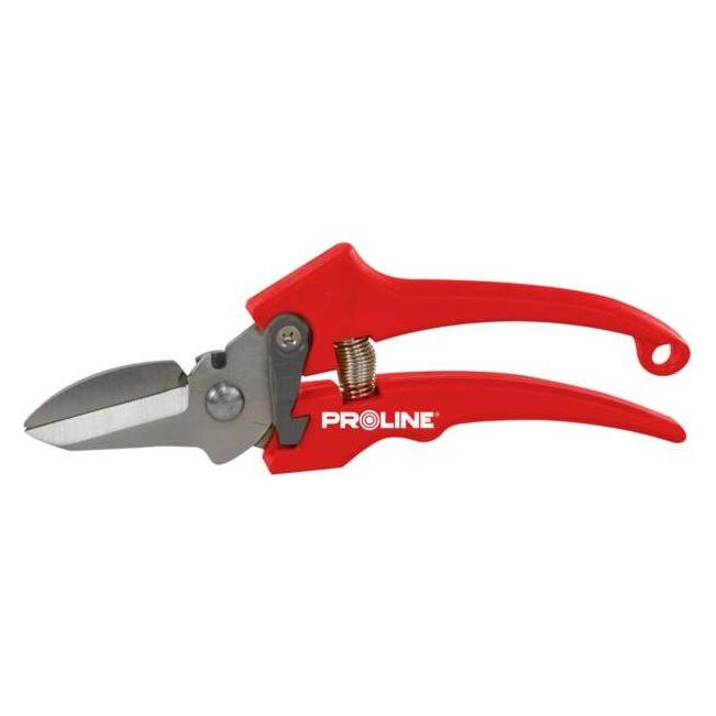 Proline Top quality flower pruning, inox, 8 inches (40088)