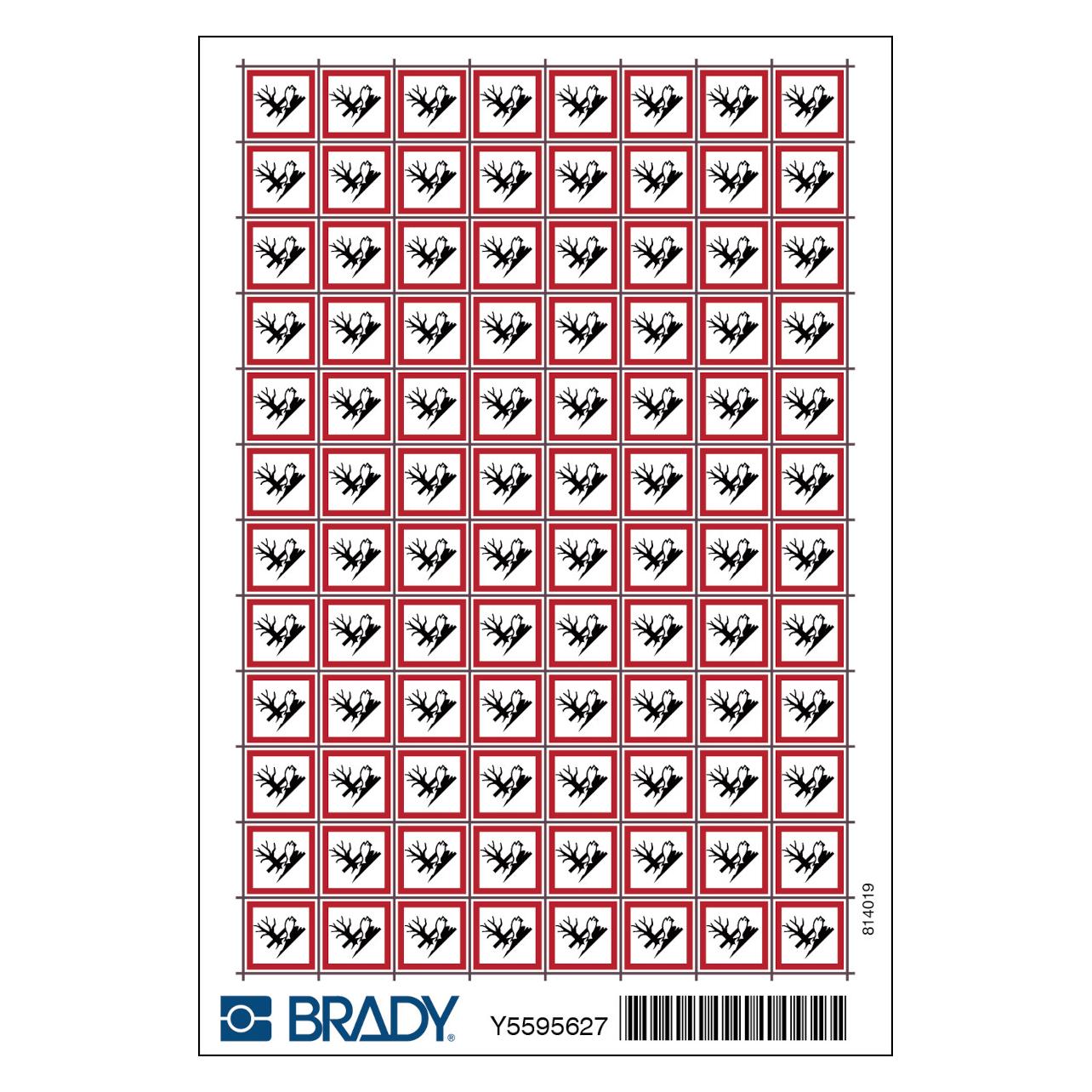 Brady Minipiktogramme Gefahrgutkennzeichnung (MINI PIC1806-10X10-GHS09/96)