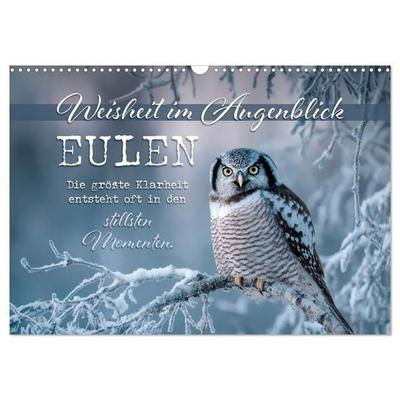 Eulen - Weisheit im Augenblick (Wandkalender 2027 DIN A3 quer), CALVENDO Monatskalender