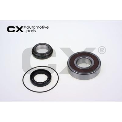 CX Radlagersatz cx066 für Fiat