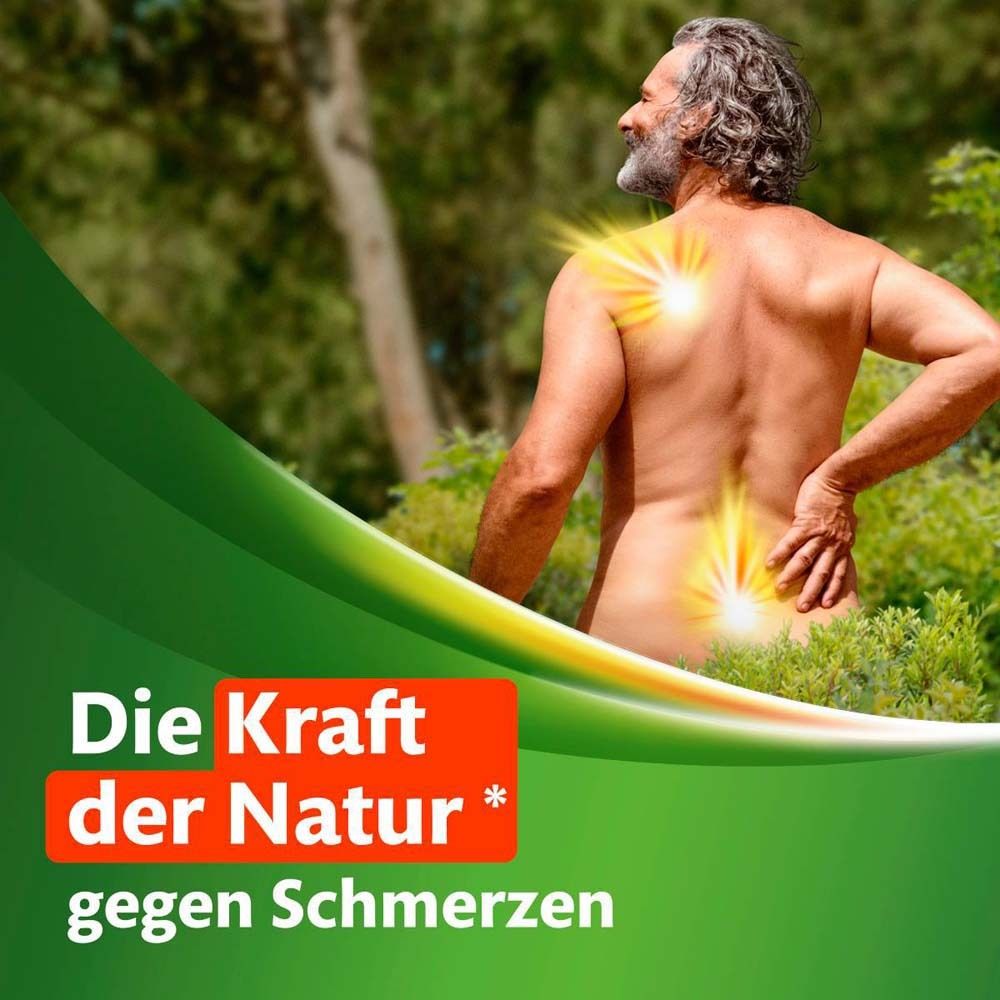 Kytta Wärmecreme mit Capsaicin 26,5 mg/50 g Creme x2 2x100