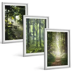 BILDER SET 3er Set - 40x60 cm Silberner Rahmen - Grüne Wälder mit Lichtstrahlen