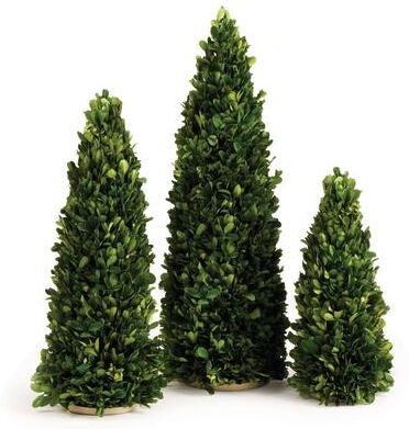 Porch & Petal Boxwood Mini Trees, Set Of 3