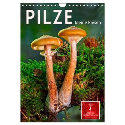 Pilze - kleine Riesen (Wandkalender 2027 DIN A4 hoch), CALVENDO Monatskalender
