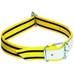 Electra Halsband für Kälber, verstellbar - 90 cm