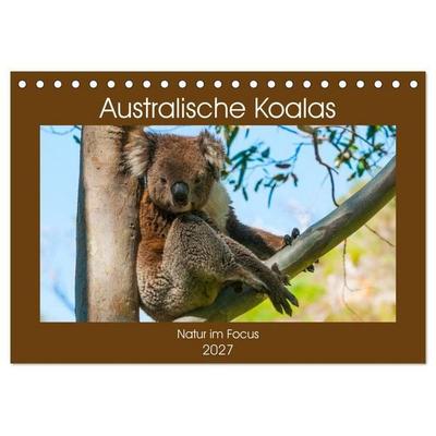 Australische Koalas (Tischkalender 2027 DIN A5 quer), CALVENDO Monatskalender