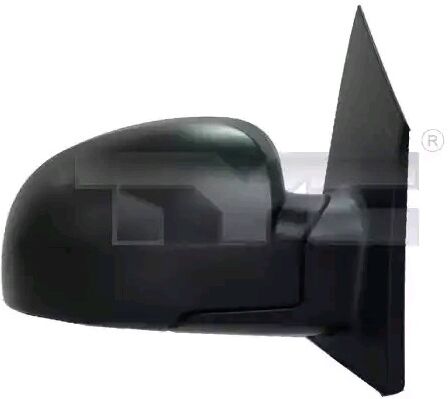 TYC 313-0032 Wing mirror