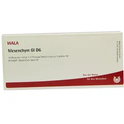 Mesenchym GL D 6 Ampullen 10X1 ml