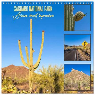 SAGUARO NATIONAL PARK Arizona desert impressions (Wall Calendar 2026 12 × 12 Inch) CALVENDO 12 Month Wall Calendar