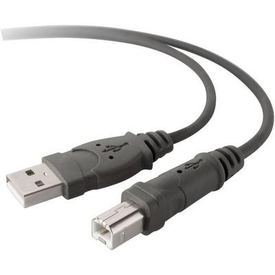 Belkin USB-Kabel USB 2.0 USB-A Stecker, USB-B Stecker 3.00m Grau F3U133b10