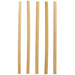 PAPSTAR Strohhalme 20 cm