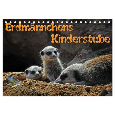 Erdmännchens Kinderstube (Tischkalender 2026 DIN A5 quer), CALVENDO Monatskalender