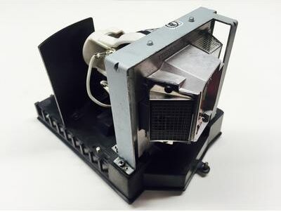 AL™ Series Lamp & Housing for the Ricoh 308932 Projector - 90 Day Warranty