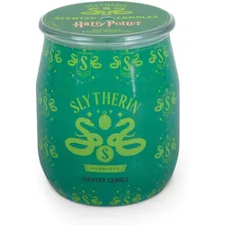 Duftkerze Harry Potter Barrel Slytherin - 90g