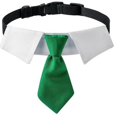 Uplifted Finds Dapper Business Necktie & Formal Collar Set d m