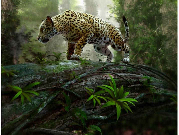 Fototapete PAPERMOON Jaguar on the Prowl , bunt, B:3,5m L:2,6m, Vlies, Tapeten, Fototapete