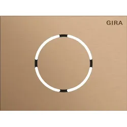Gira Frontpl. Türstationsmodul 5579921
