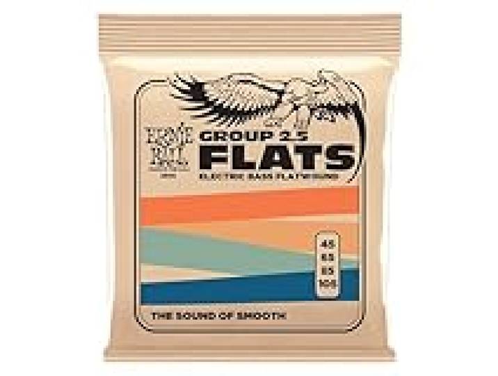 Ernie Ball Cordes à filet plat, Groupe 2.5, pour basse électrique, calibre 45-105