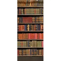 Scheurich Türfolie Bücherregal, für Innen- Außentüren