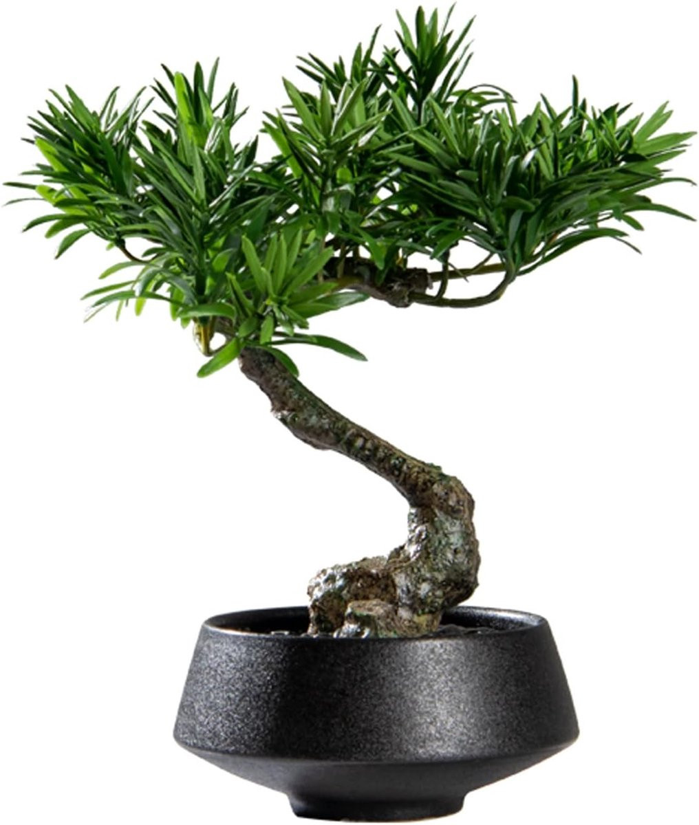 Kunstplant Bonsai Nep Pijnboom Groen H 31 cm x B 26 cm