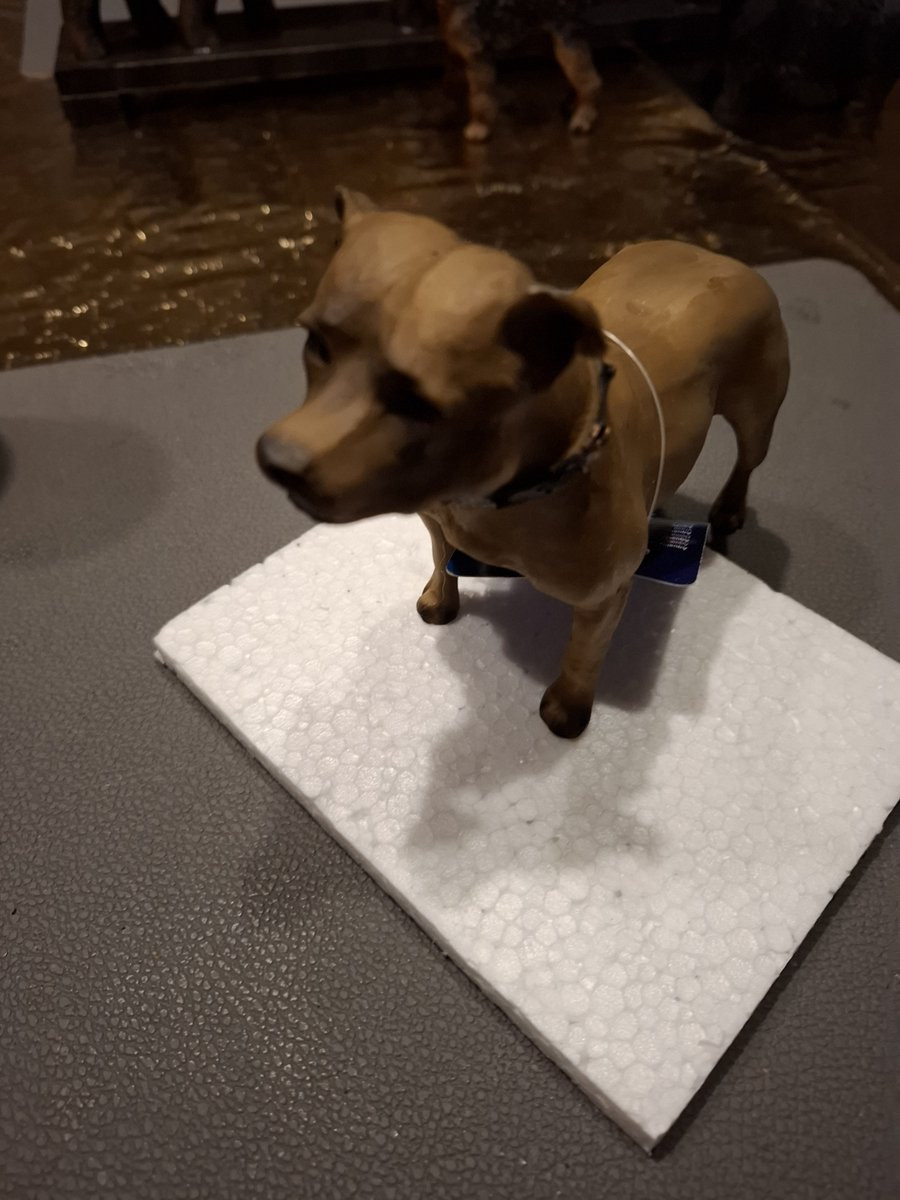 Staffordshire Bullterrier tafeldecoratie voor volwassenen