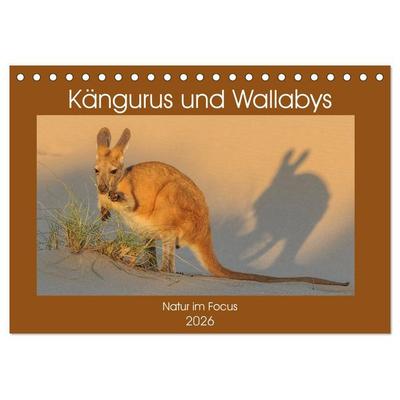 Kängururs und Wallabys (Tischkalender 2026 DIN A5 quer), CALVENDO Monatskalender