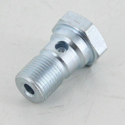 Triscan Hohlschraube 8105 3255