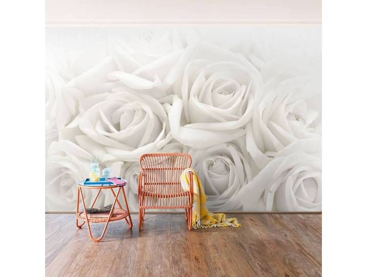 Papier peint roses blanches 432 x 290cm 432 x 290 cm