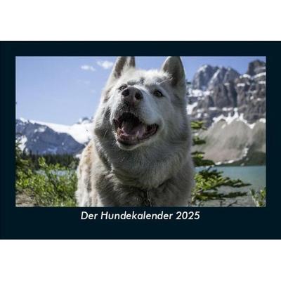 Der Hundekalender 2025 Fotokalender DIN A5