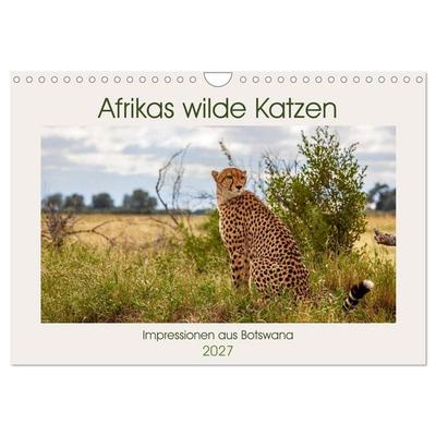 Afrikas wilde Katzen (Wandkalender 2027 DIN A4 quer), CALVENDO Monatskalender