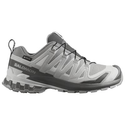 Salomon - Women's XA Pro 3D V9 GTX - Multisportschuhe 39 1/3 | EU 39 grau