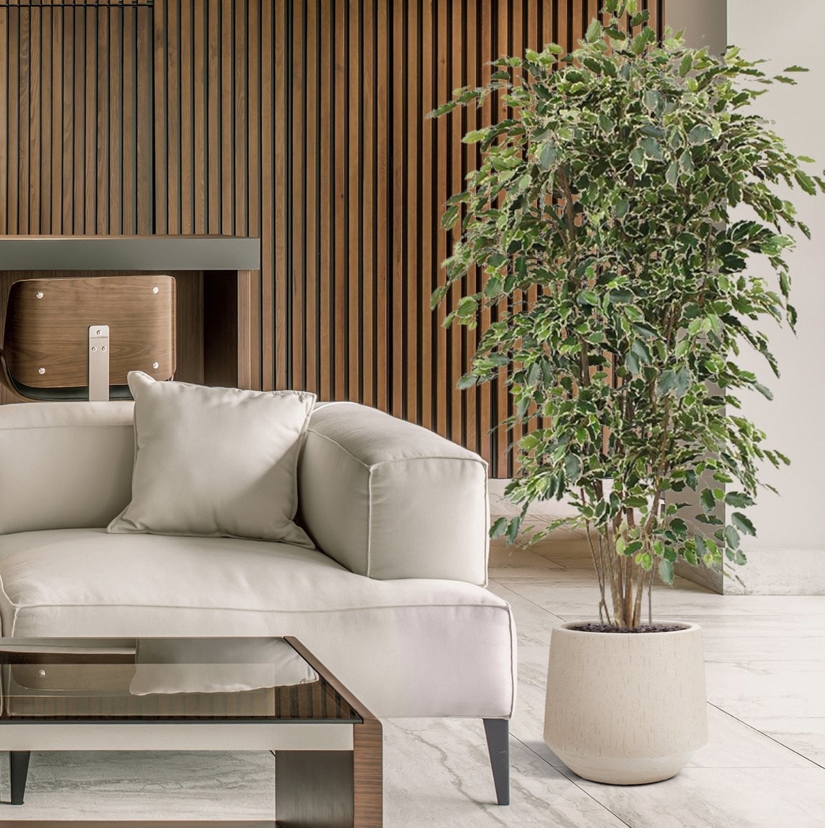 Ficus Exotica deluxe kunstboom, bont, Hoogte: 210 cm