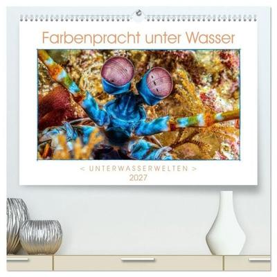 Farbenpracht unter Wasser (hochwertiger Premium Wandkalender 2027 DIN A2 quer), Kunstdruck in Hochglanz