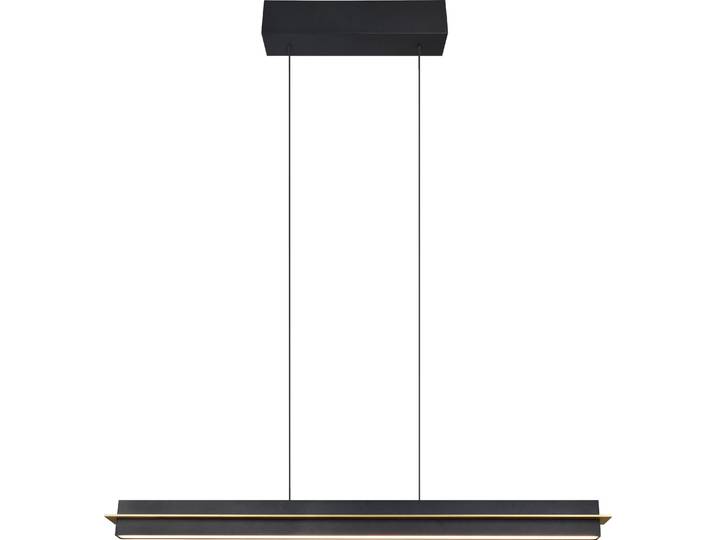 Trio Pendelleuchte Emerson 22W schwarz warmweiß-kaltweiß