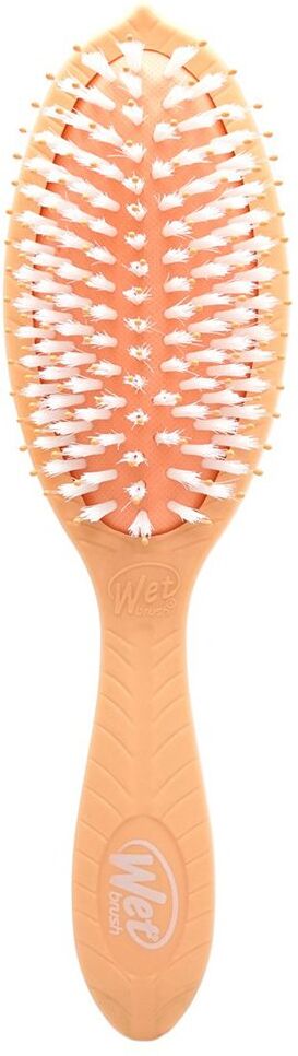 WETBRUSH Go Green Coconut Oil Infused Shine Brush