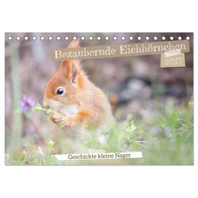Bezaubernde Eichhörnchen (Tischkalender 2027 DIN A5 quer), CALVENDO Monatskalender