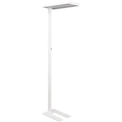 MAUL Standleuchte MAULjaval LED 4.000 K dimmbar Standfuß 196 cm weiß