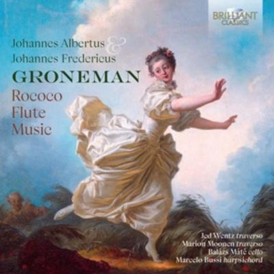 J.A./J.F.Groneman:Rococo Flute Music - WENTZ,Moonen,Mate,Bussi, CD