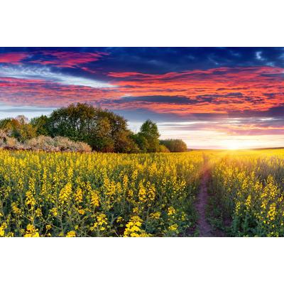 Fototapete PAPERMOON "Bucht", bunt, B:3m L:2,23m, Vlies, Tapeten