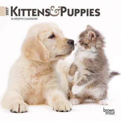 Kittens & Puppies 2027 7 X 14 Inch (Hanging) Monthly Mini Wall Calendar