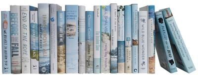 Booth & Williams Decorative Books - Nautical Dust Jacket Books - Blue Books By The Foot
