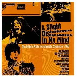 Tonpool, Schallplatten, Var.Artists:A Slight Disturbance.CD (Various)