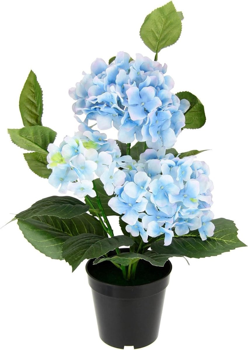 Blauwe kunsthortensia in pot voor decoratie op balkon of terras