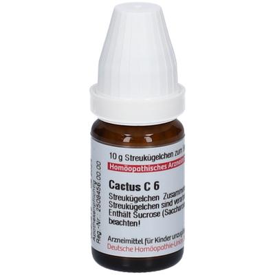Cactus C 6 Globuli 10 g