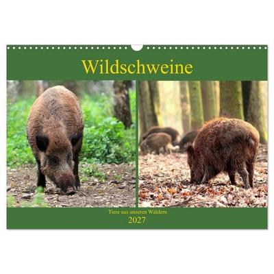 Wildschweine - Tiere aus unseren Wäldern (Wandkalender 2027 DIN A3 quer), CALVENDO Monatskalender