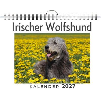Irischer Wolfshund