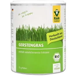 Raab Gerstengras Pulver bio